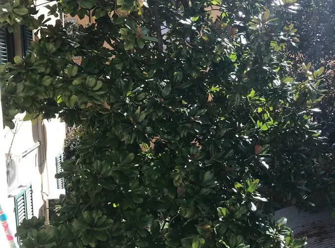 Apartmán Dalla Bibi Montecatini Terme